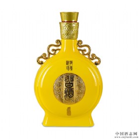 PI53u500ml